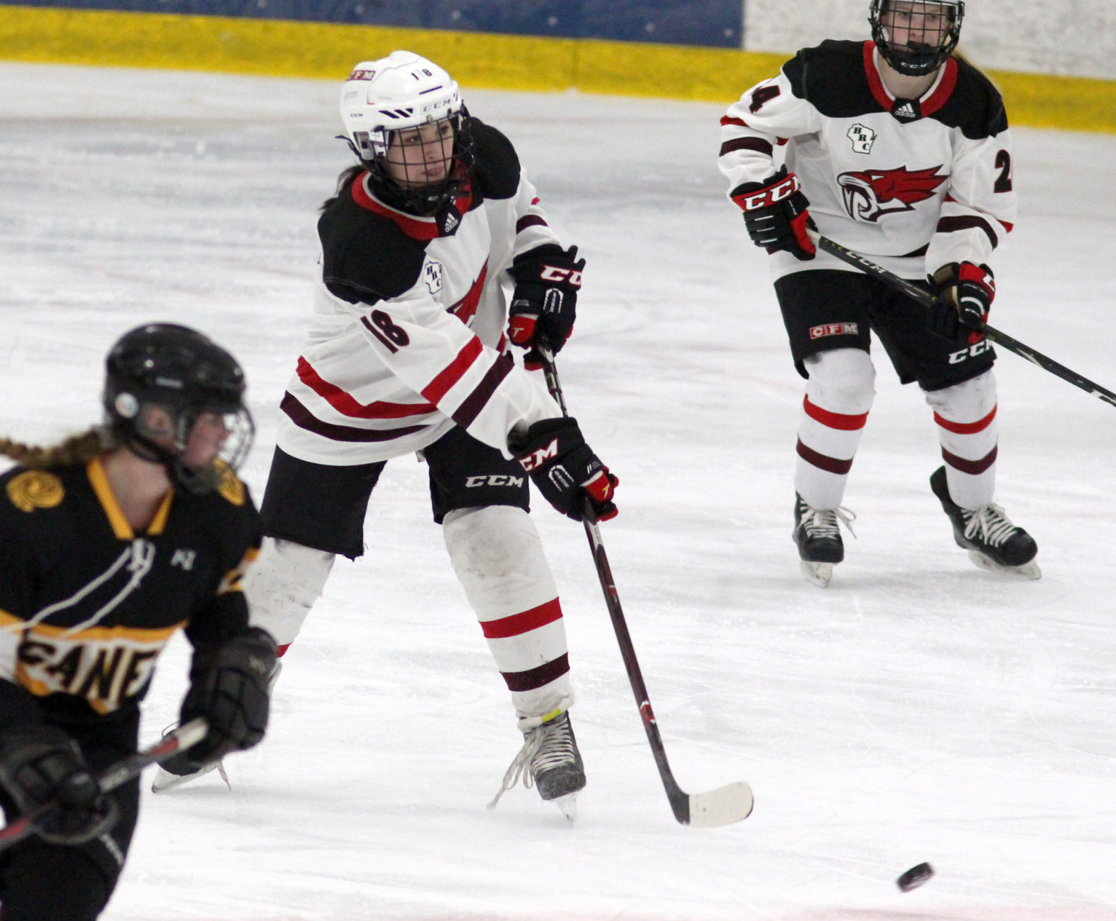 Hayward at Chippewa Falls/Menomonie girls hockey 2-20-20